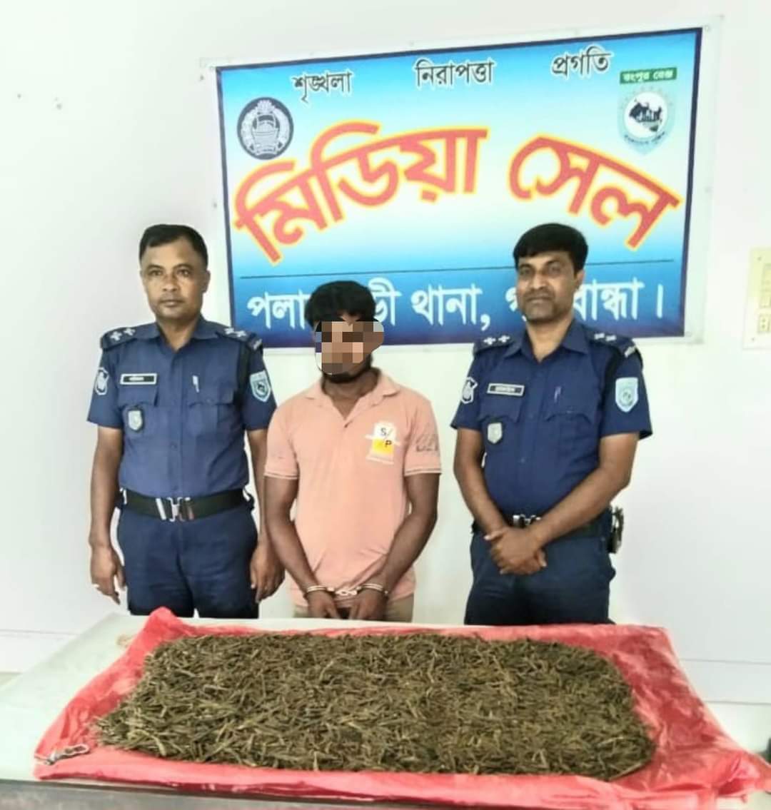পলাশবাড়ীতে ০৪ কেজি ৫০০ গ্রাম গাঁজা উদ্ধারসহ আটক-০১