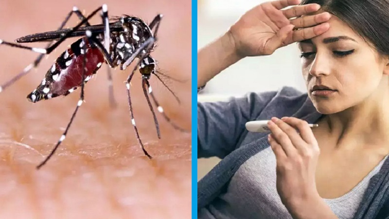 ডেঙ্গু হলে যেসব খাবার এড়িয়ে চলবেন
