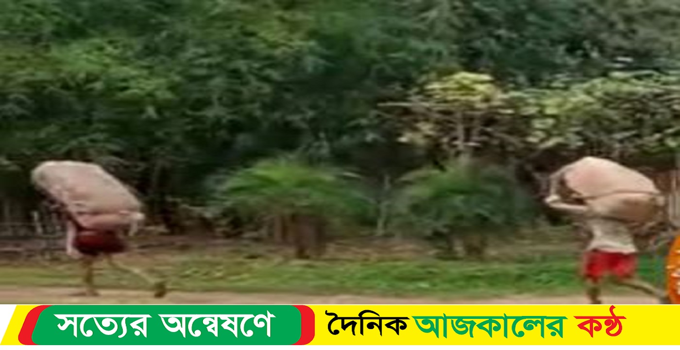 সিলেটের সীমান্ত পথে প্রতিদিন বাংলাদেশে আসছে ভারতীয় চিনি