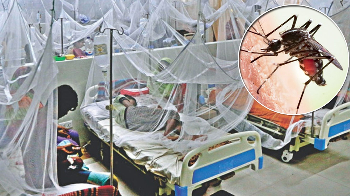 ডেঙ্গুতে ১৯ জনের মৃত্যু, হাসপাতালে ৩০৩৩