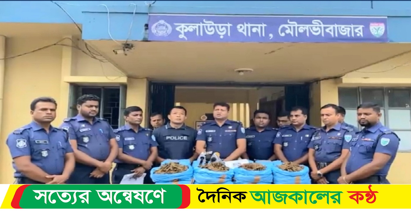 মৌলভীবাজারের কুলাউড়া এক মন গাঁজাসহ আটক ২