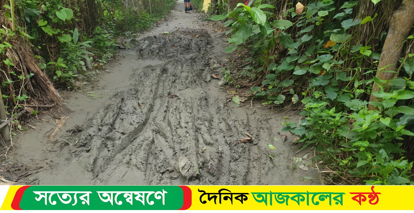 ভেদরগঞ্জ উপজেলার সখিপুর থানার চরসেন্সাস ইউনিয়ন ৭নং ওয়ার্ড বাসীর চলাচলের একমাত্র রাস্তাটির ভোগান্তিতে এলাকাবাসী