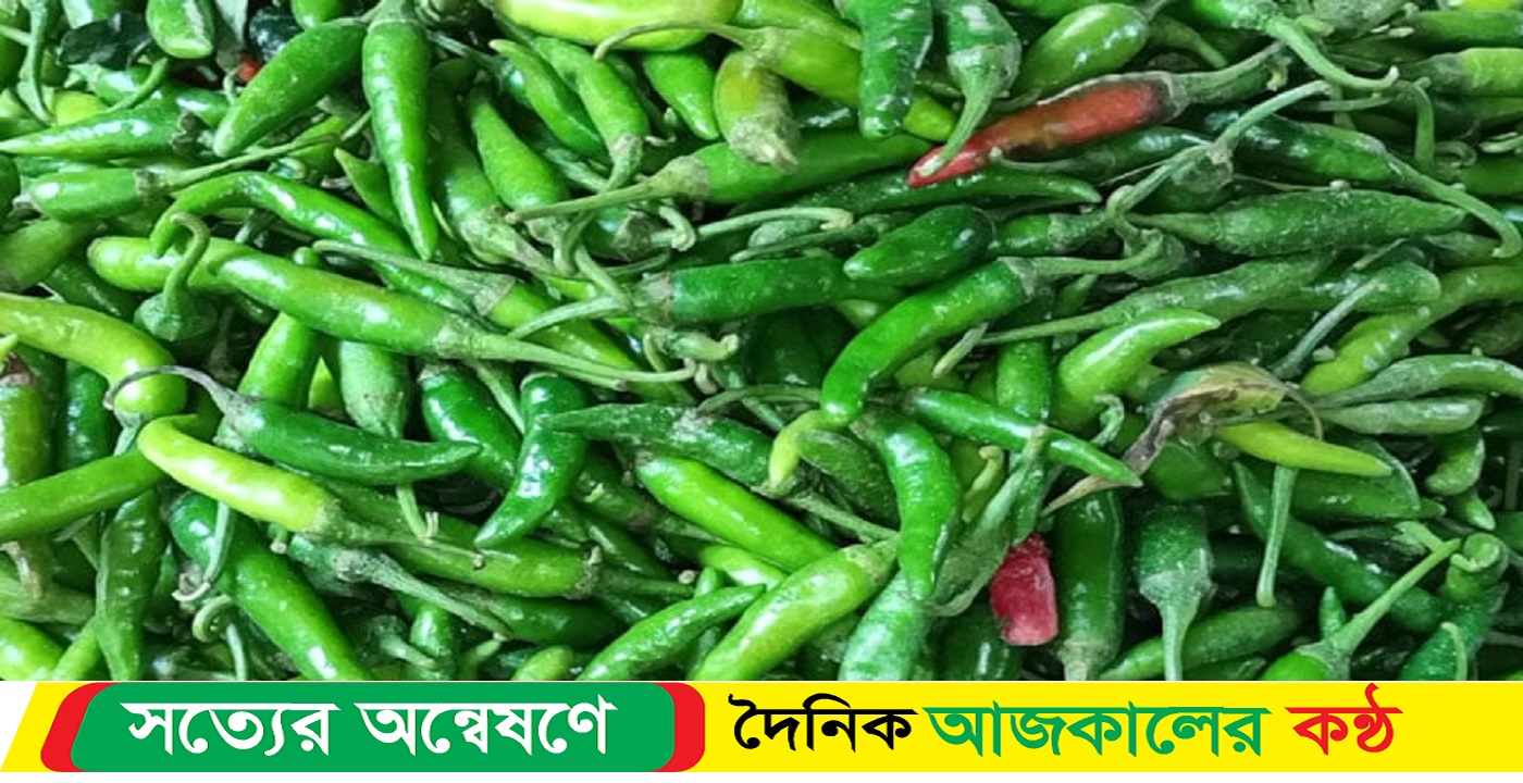 দেশি কাঁচামরিচের দাম কমেছে হিলিতে