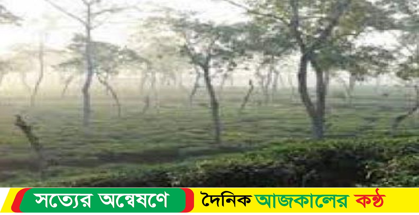 সিলেটে শীতের পূর্বাভাস